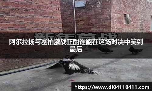 阿尔拉扬与塞柏激战正酣谁能在这场对决中笑到最后